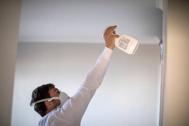 Best Emergency Mold Remediation in Clinton, MI